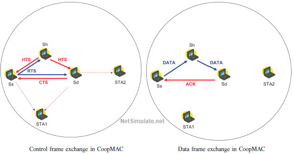 شبیه سازی پروتکل CoopMAC و مقایسه با پروتکل 802.11 در شبکه بی سیم با NS2